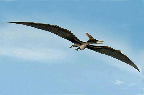 dinosaur 3 pterosaur
